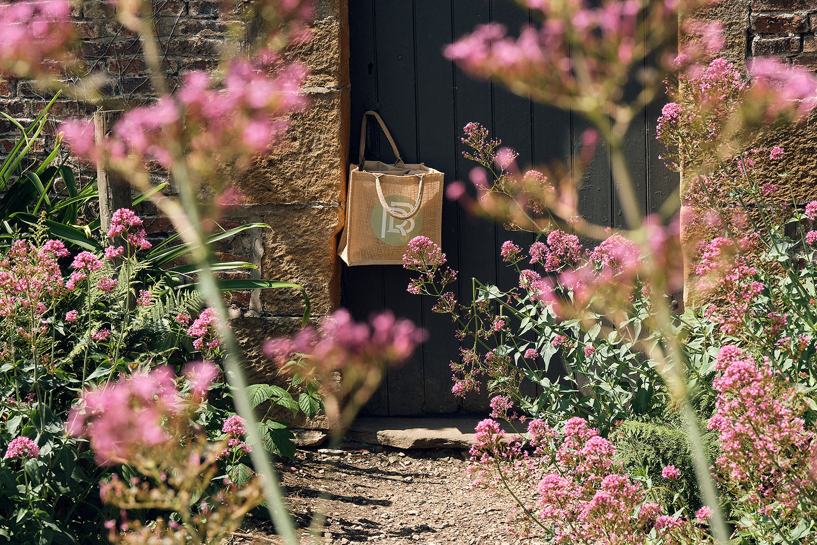 slider image slider_item_m8nCGp